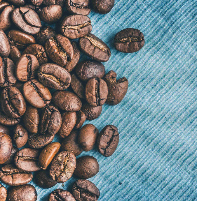 Kaffeesatz – 5 nützliche Anwendungen im Haushalt