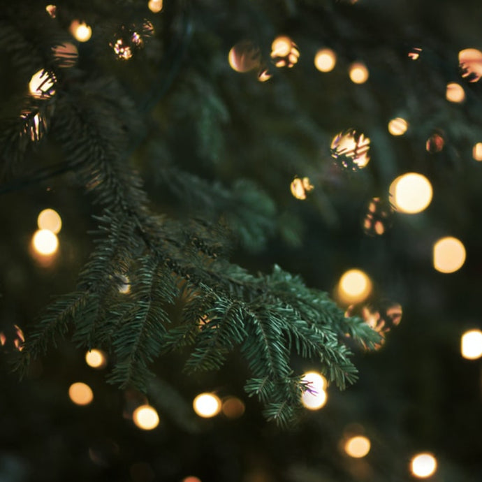 Was kann man mit einem Weihnachtsbaum machen, nachdem Neujahrsfeiertage zu Ende sind?